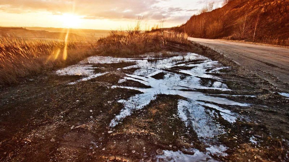 What We Mean by Literary: A Practical, Not Precious, Definition